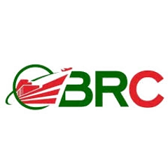 Logotipo BrChina